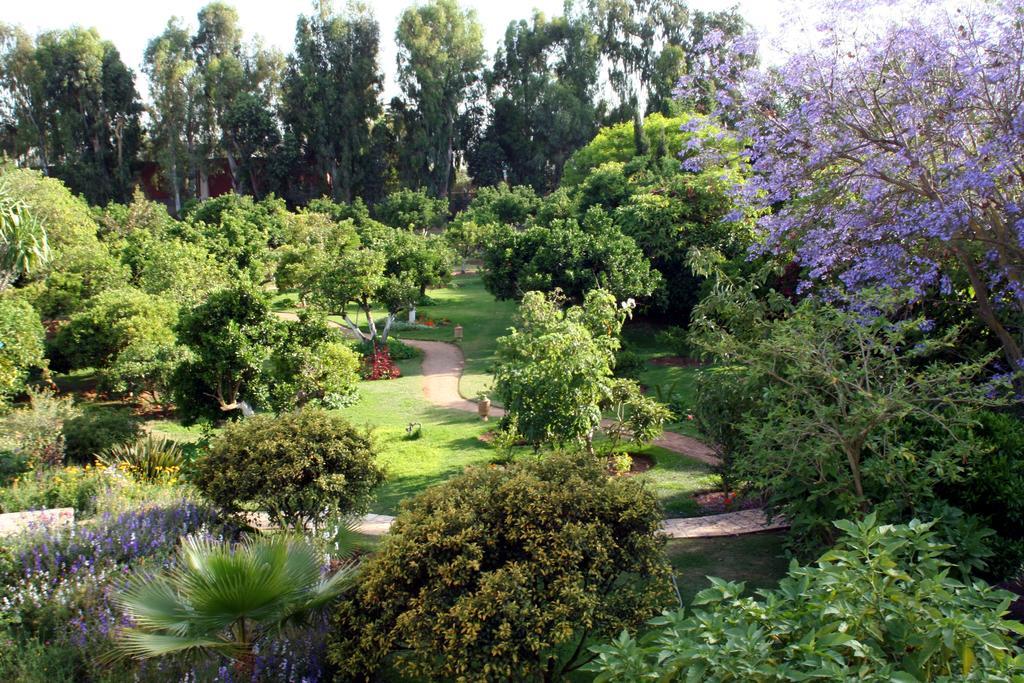 La Villa Mandarine Ραμπάτ Εξωτερικό φωτογραφία